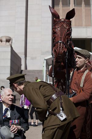 War Horse and Veteran 